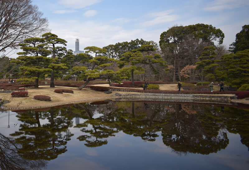 Imperial Garden by Jodie Dunbar